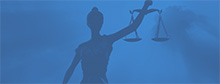 The Immigration Justice Campaign
