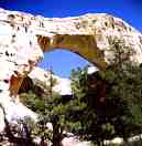 Sam Pollock Arch