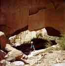 Wiregrass Arches Natural Bridge