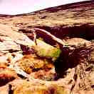 Halls Creek Bay Arch