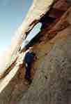 Page Arch