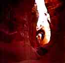 Peek-A-Boo Arches