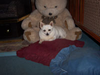 100_0081.jpg