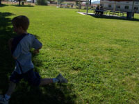 100_1175.jpg