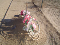 dsc00256.jpg