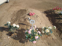 dsc00270.jpg