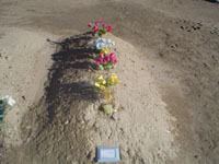 dsc00271.jpg