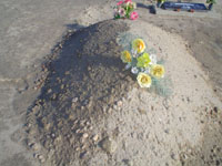 dsc00293.jpg