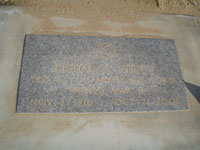 dsc00303.jpg