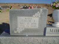 dsc00331.jpg