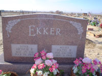 dsc00390.jpg