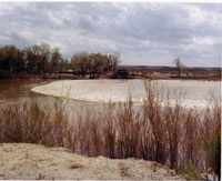 scan0025.jpg