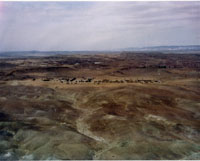 scan0033.jpg