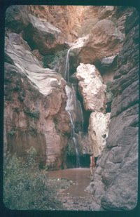 06-24.jpg