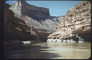 01-29.jpg