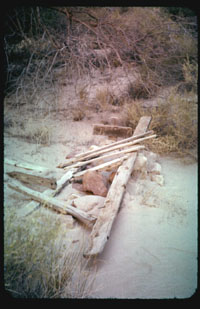 02-25.jpg