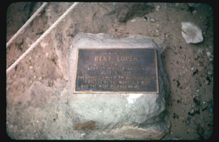 03-07.jpg