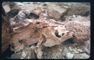 03-25.jpg