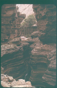 07-10.jpg