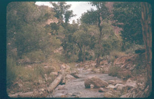 07-11.jpg