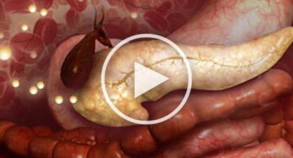 What They Didn't Want You Knowing About Metformin